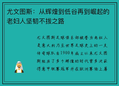 尤文图斯:从辉煌到低谷再到崛起的老妇人坚韧不拔之路 尤文图斯:从辉煌到低谷再到崛起的老妇人坚韧不拔之路